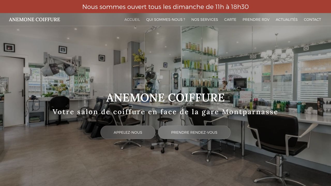 Capture du site de Anémone Coiffure