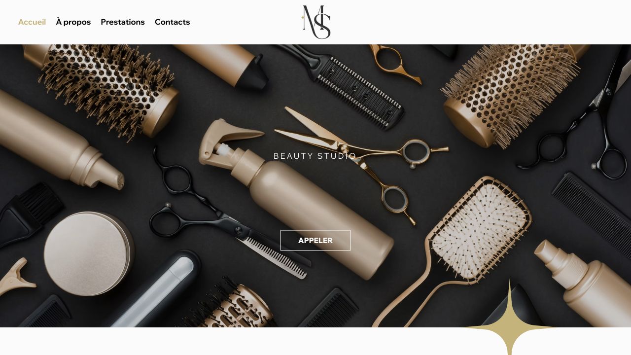 Capture du site de Marina Style