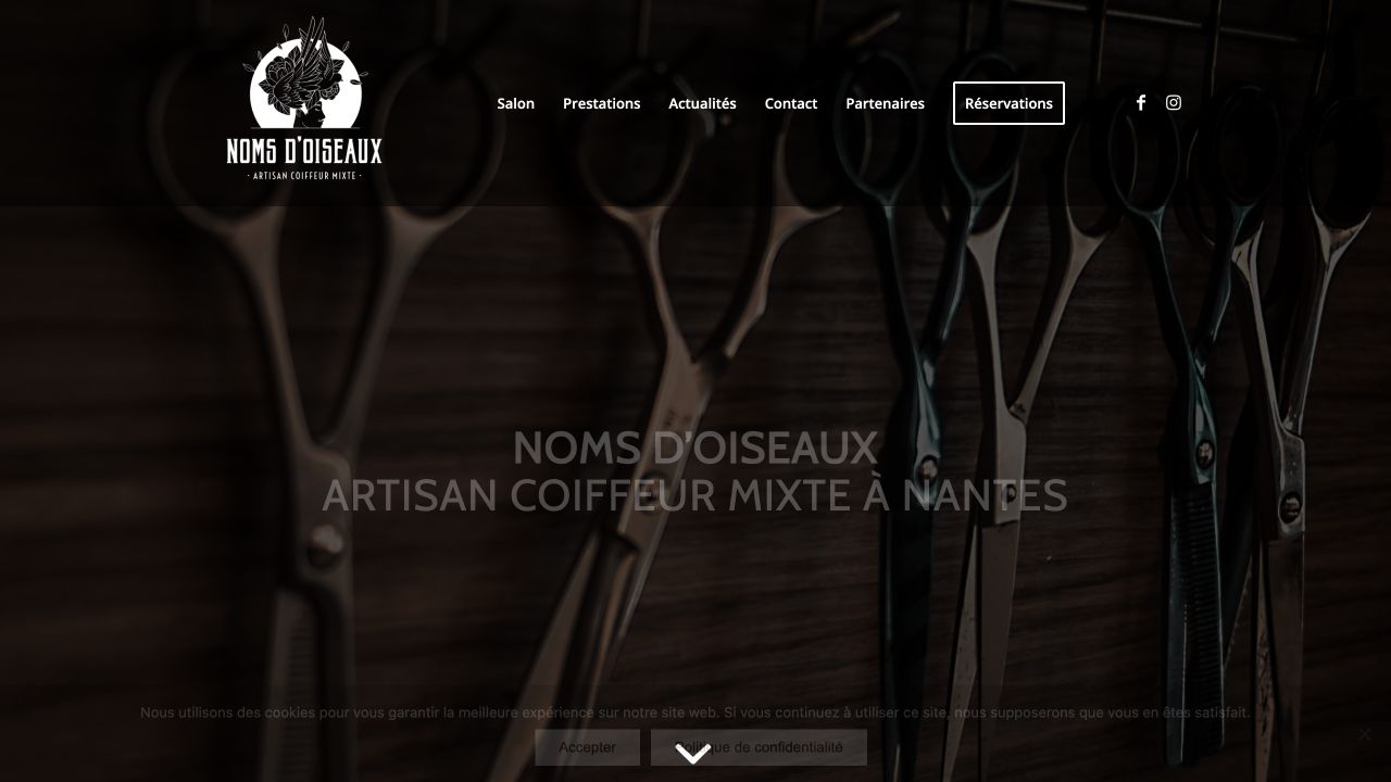 Capture du site de Noms d’Oiseaux